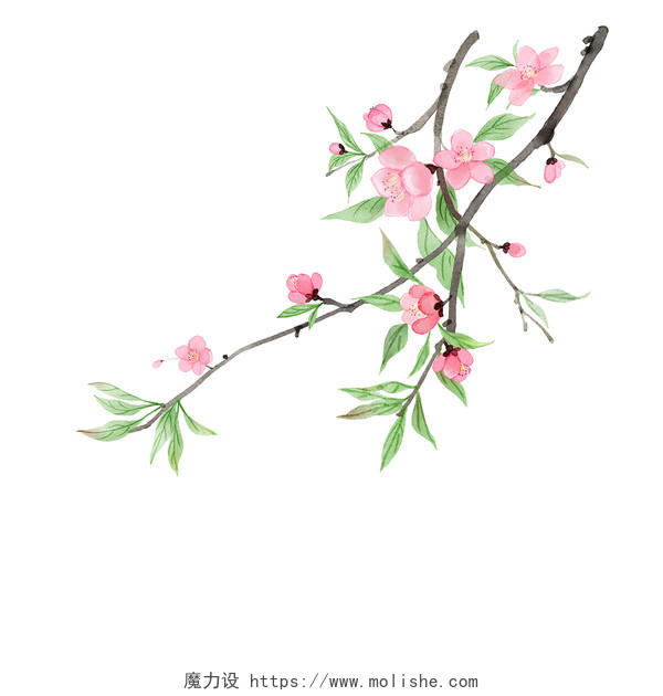 水彩风手绘春天的桃花花枝